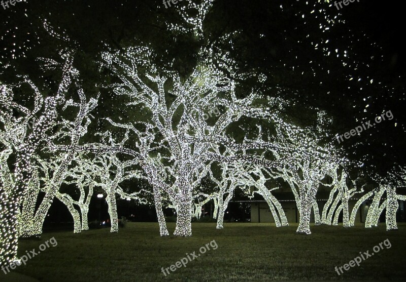 Christmas Lights Texas Christmas Night Illumination