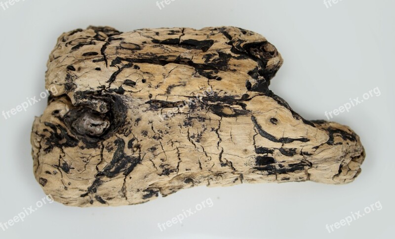 Flotsam Wood Sea Nature Drift Wood