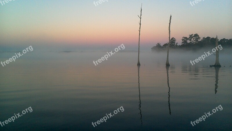 Nature Landscape Tree Misty Mystery