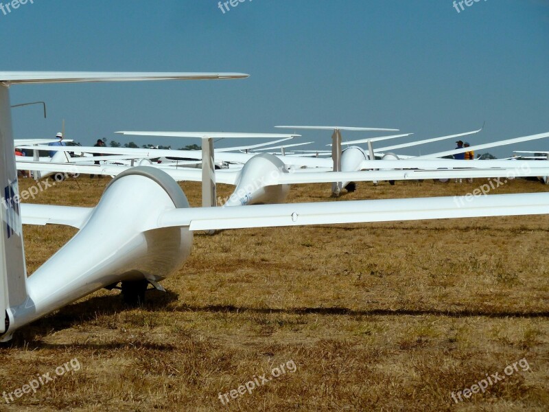 Gliders Competition Racing Lineup Sailplanes