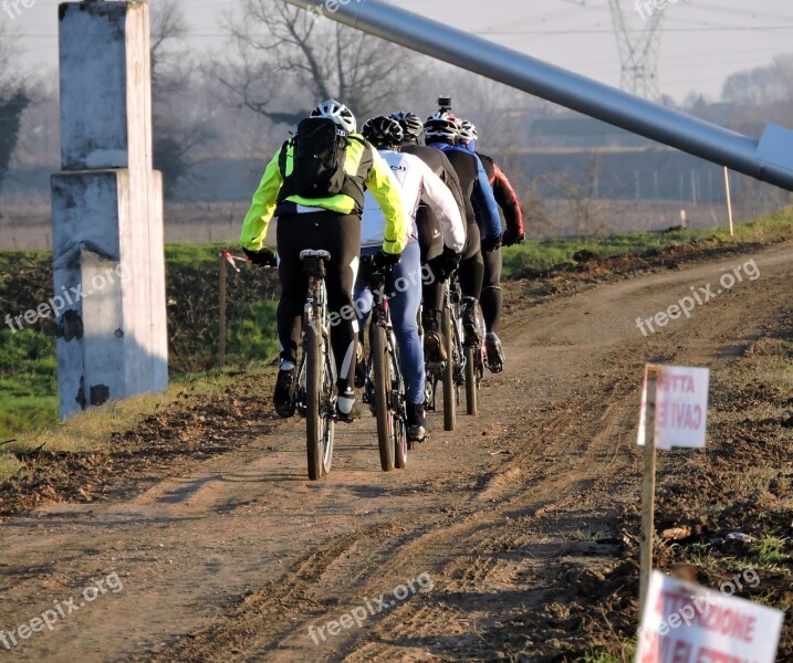 Cyclist Bicycle Sports Race Row