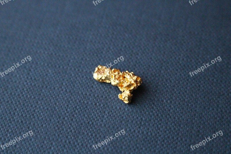 Gold Nugget Gold Nugget Natural Gold Free Photos