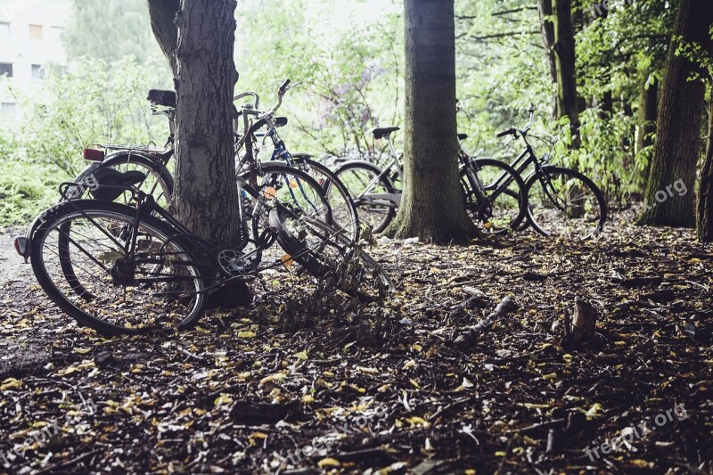 Wheel Bike Wheels Bicycles Meadow