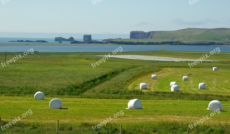 Iceland Cliffs Vik Prairie Free Photos