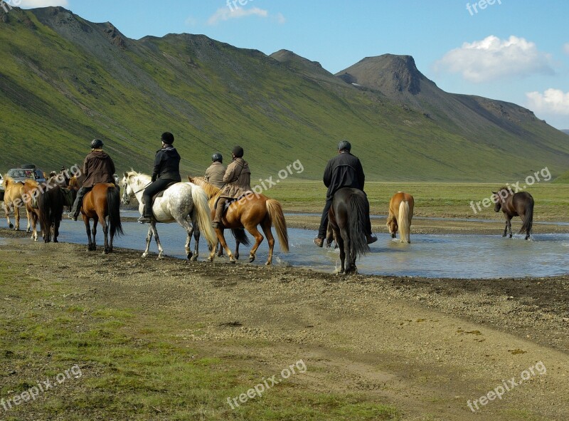 Iceland Horses Riders Free Photos