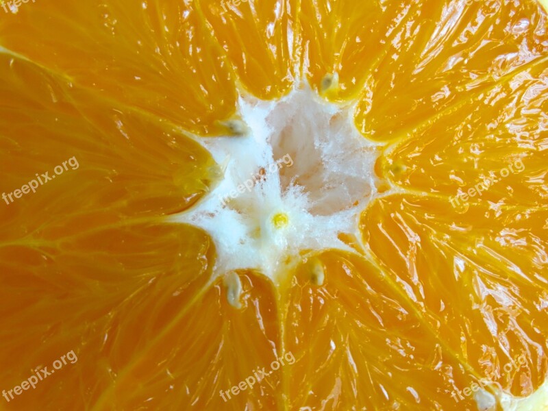 Pulp Orange Fruit Core Fruit Fibers Nuclear