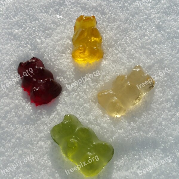 Gummibärchen Haribo Bear Gummi Bears Fruit Jelly