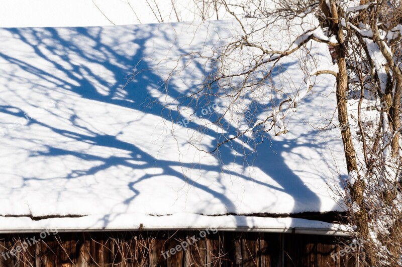 Hut Roof Wood Tree Snow