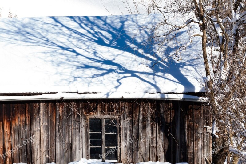 Hut Roof Wood Tree Snow