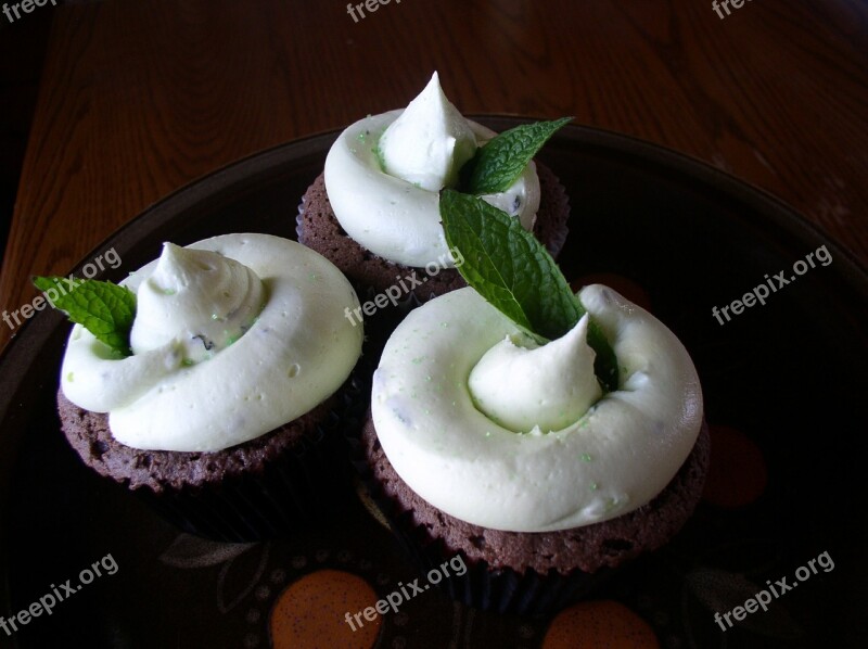 Mint Flavored Cupcakes Baked Decorated Chocolate Iced