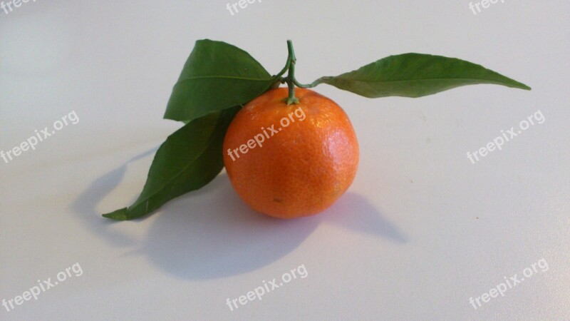 Mandarin Fruit Healthy Free Photos