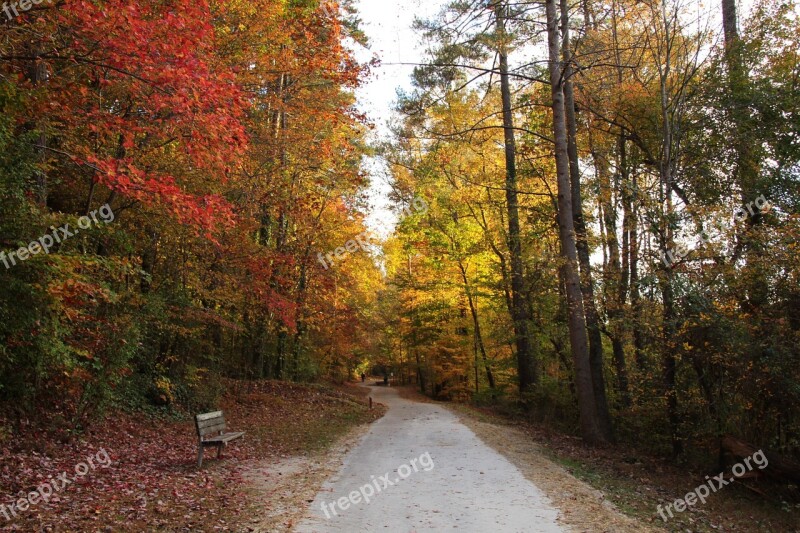 Fall Walk Bench Park Quiet