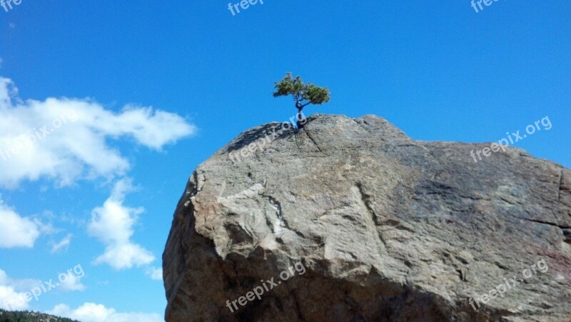 Tree Rock Sky Courage Blue