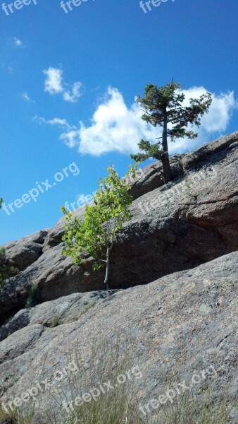 Tree Rock Sky Pine Aspen