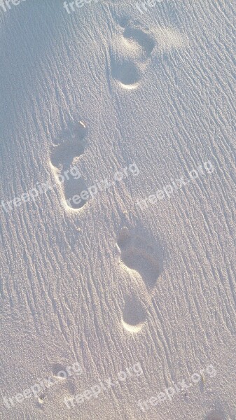 Beach Footprint Sand Beach Footprints In The Sand Free Photos