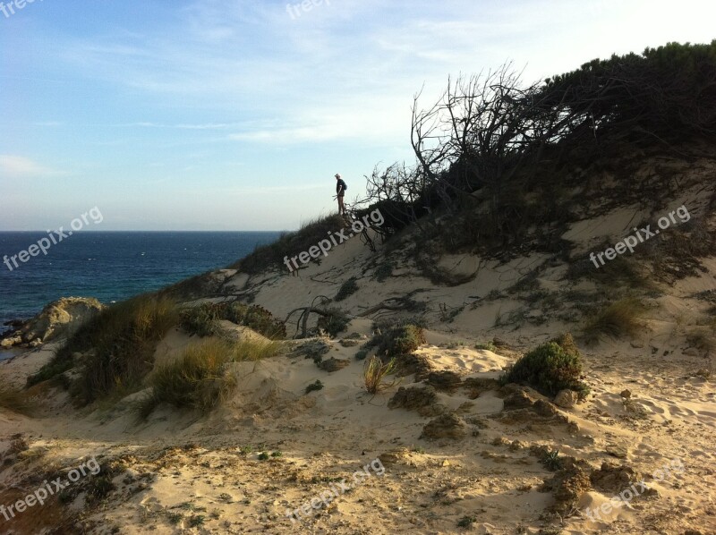 Nature Beach Dunes Landscapes Sea