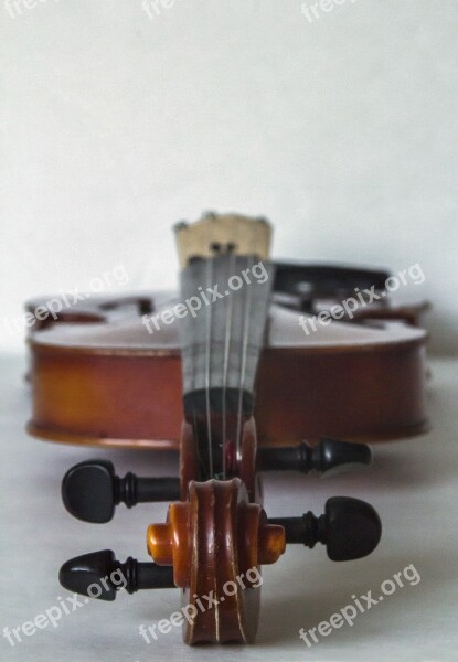 Violin Music Classical Instrument String