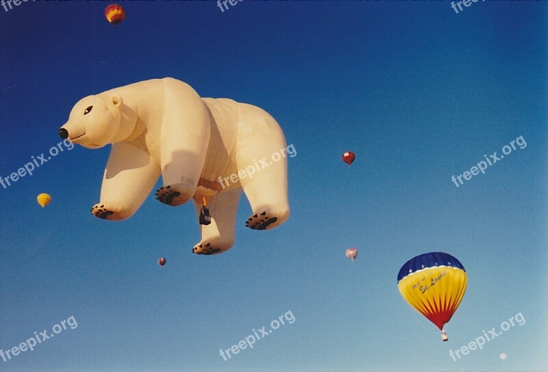 Hot Air Balloon Balloon Polar Bear Colorful Vibrant