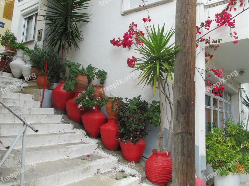 Streets Stairs Vase Plant Flowers