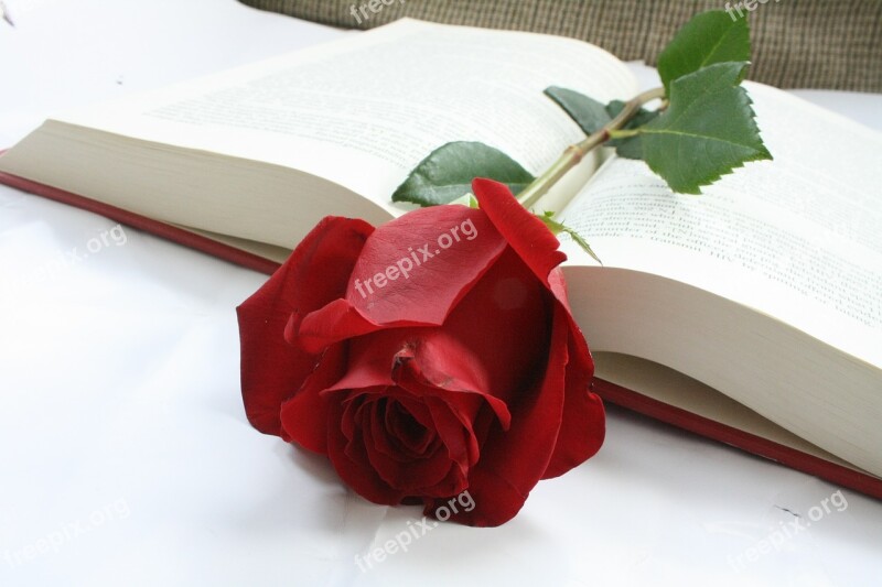 Rose Flower Book Red Words