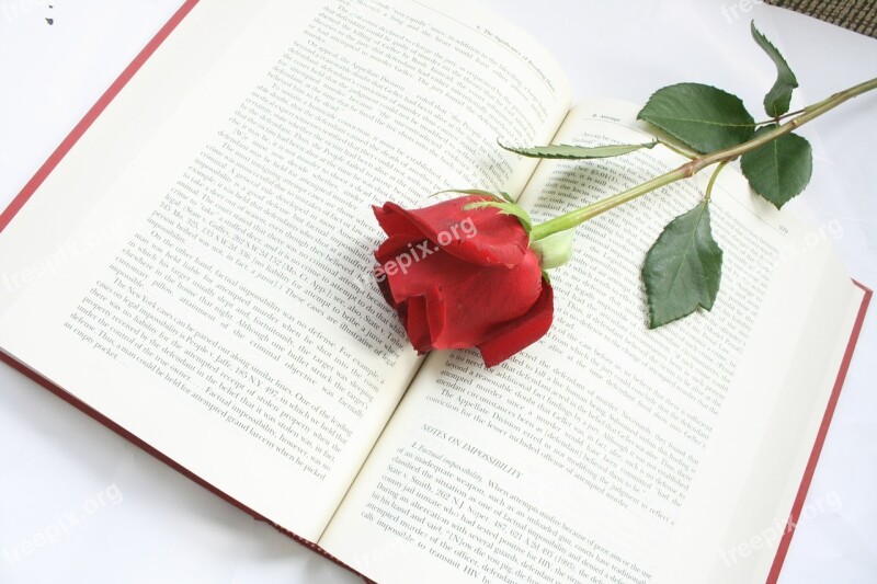 Rose Flower Book Red Words