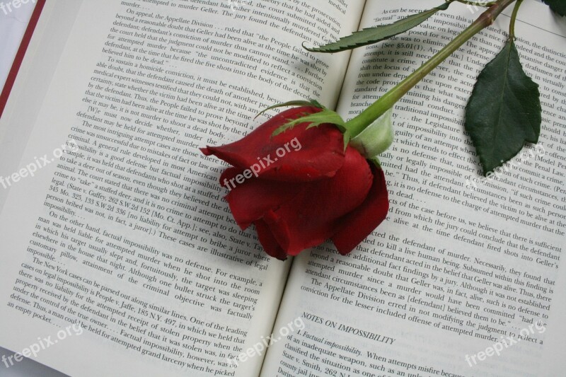 Rose Flower Book Red Words