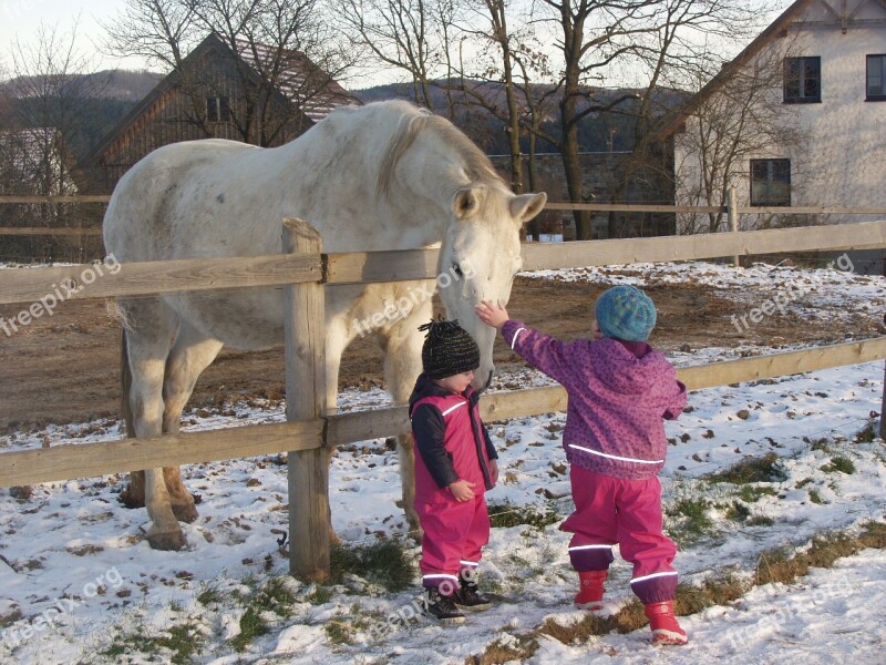 Horse Children Dear Friendly Free Photos