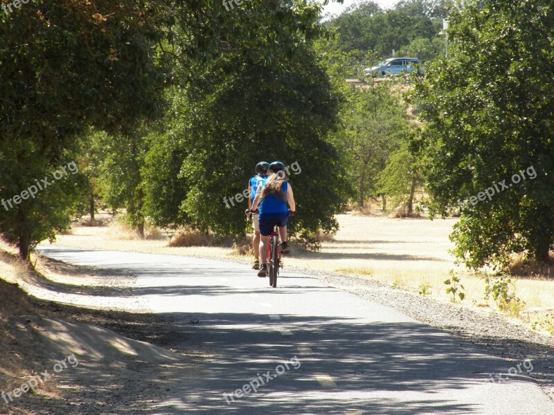 Path Pathway Journey Outdoor Tree