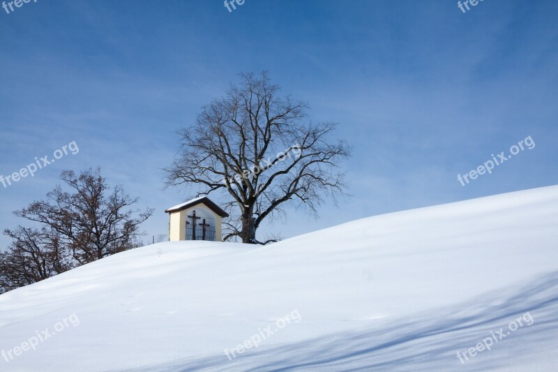 Mountain Trees Sky Blue Snow