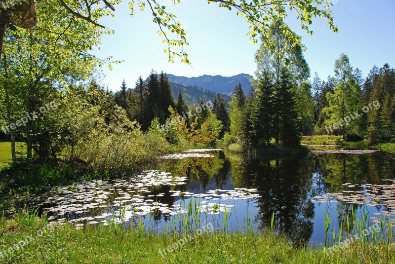 Lake Pond Nature Landscape Silent Waters