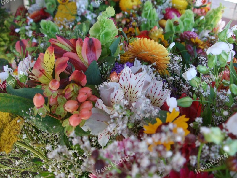 Flowers Bouquet Natural Farmers Market