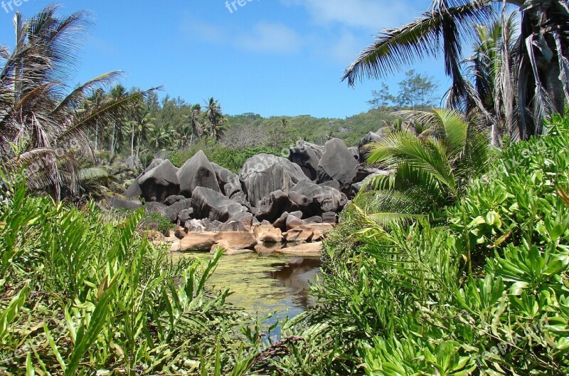 Rocks Tropic Nature Seychelles Free Photos