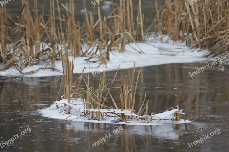 Ice Cream Floors Frost Winter Free Photos