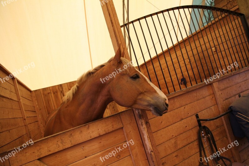 Horse Stable Farm Stall Barn