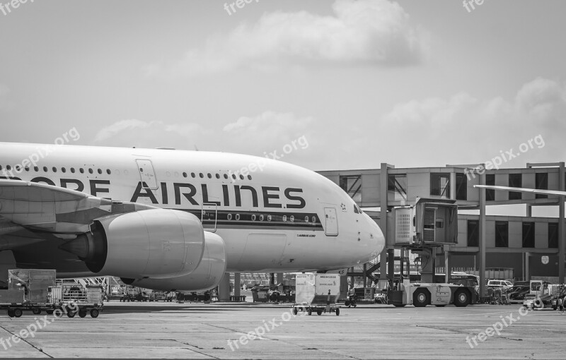 Airport Airbus A380 Frankfurt The Plane Free Photos