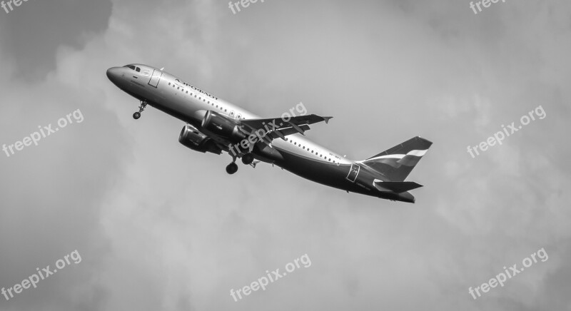 The Plane Boeing Aeroflot Black And White Free Photos