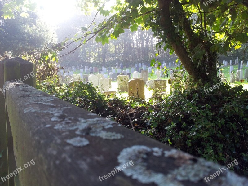 Cemetery Lichen Graveyard Free Photos