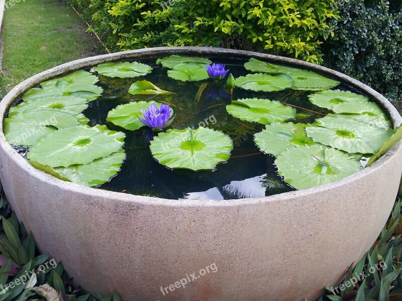 Lily Park Vase Purple Flower Leaves