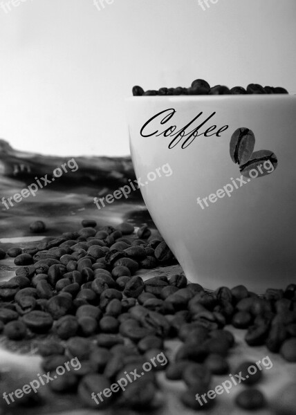 Tastes Beans Coffee Cup Free Photos