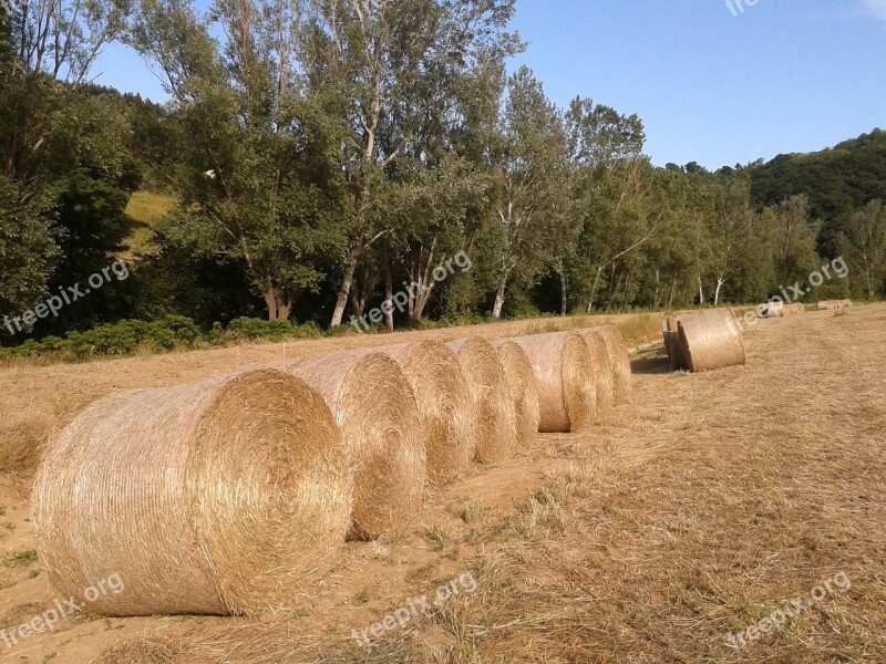 Bales Straw Campaign Landscape Sky