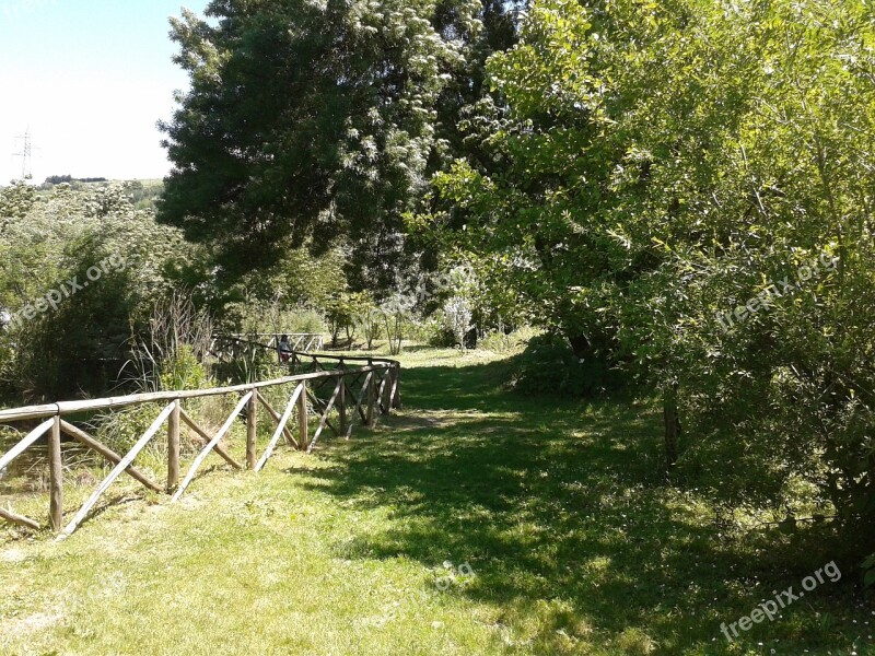 Grass Sun Nature Summer Landscape