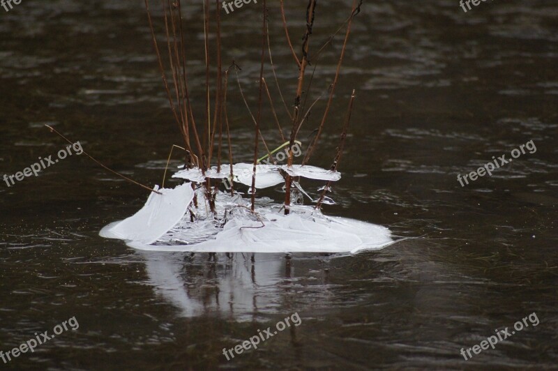 Ice Cream Nature Winter Ground Melting