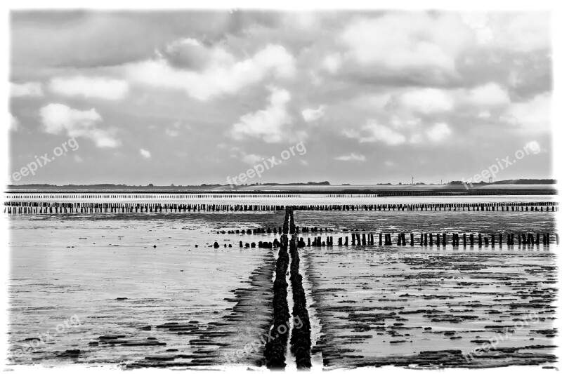 Wadden Sea Water Beach Piles North Sea