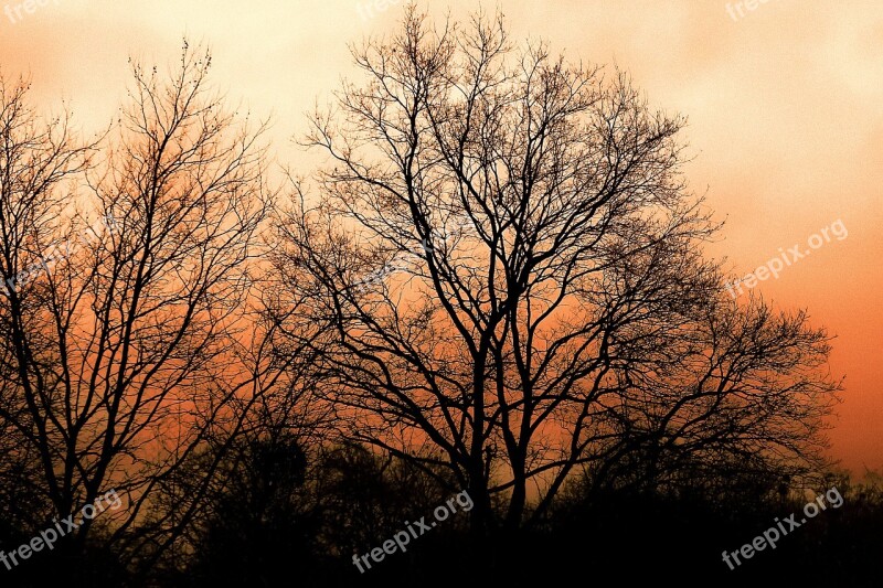 Sun Kassel Sunset Trees Sky