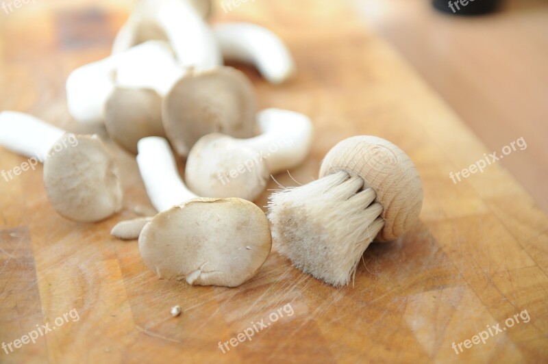 Mushrooms Brush Board Herbal Aibling Preparation