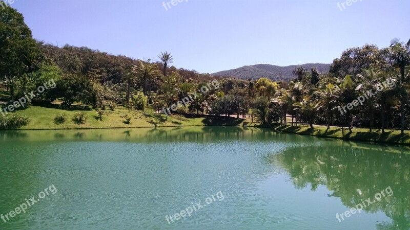 Pond Nature Green Vegetation Inhotim