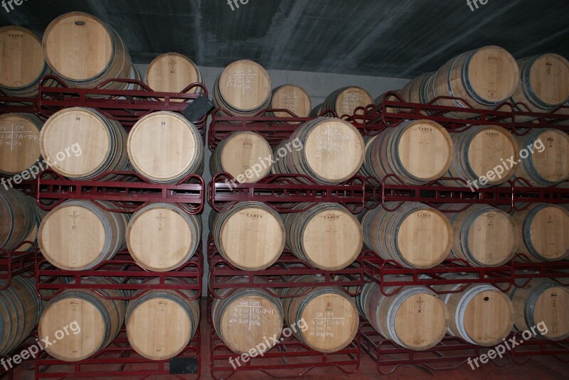 Red Wine Wine Barrels Spain Wine Cellar Wine