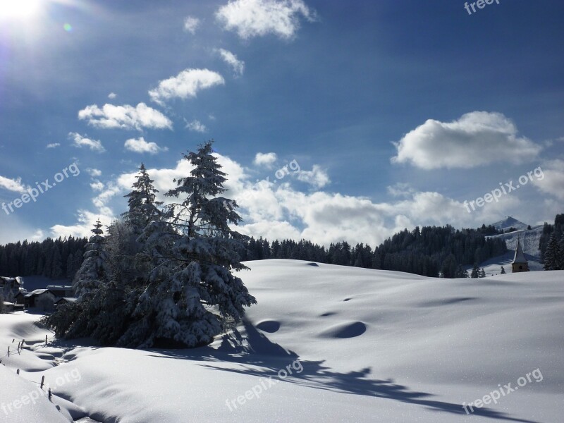 Winter Snow Wintry Cold Landscape