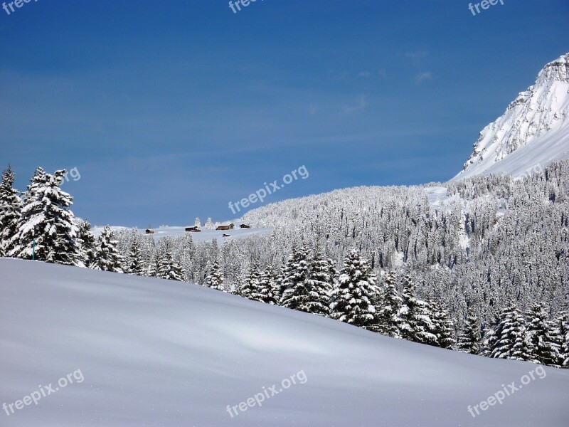 Winter Snow Wintry Cold Landscape