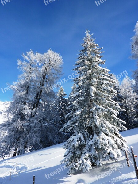 Winter Snow Wintry Cold Landscape